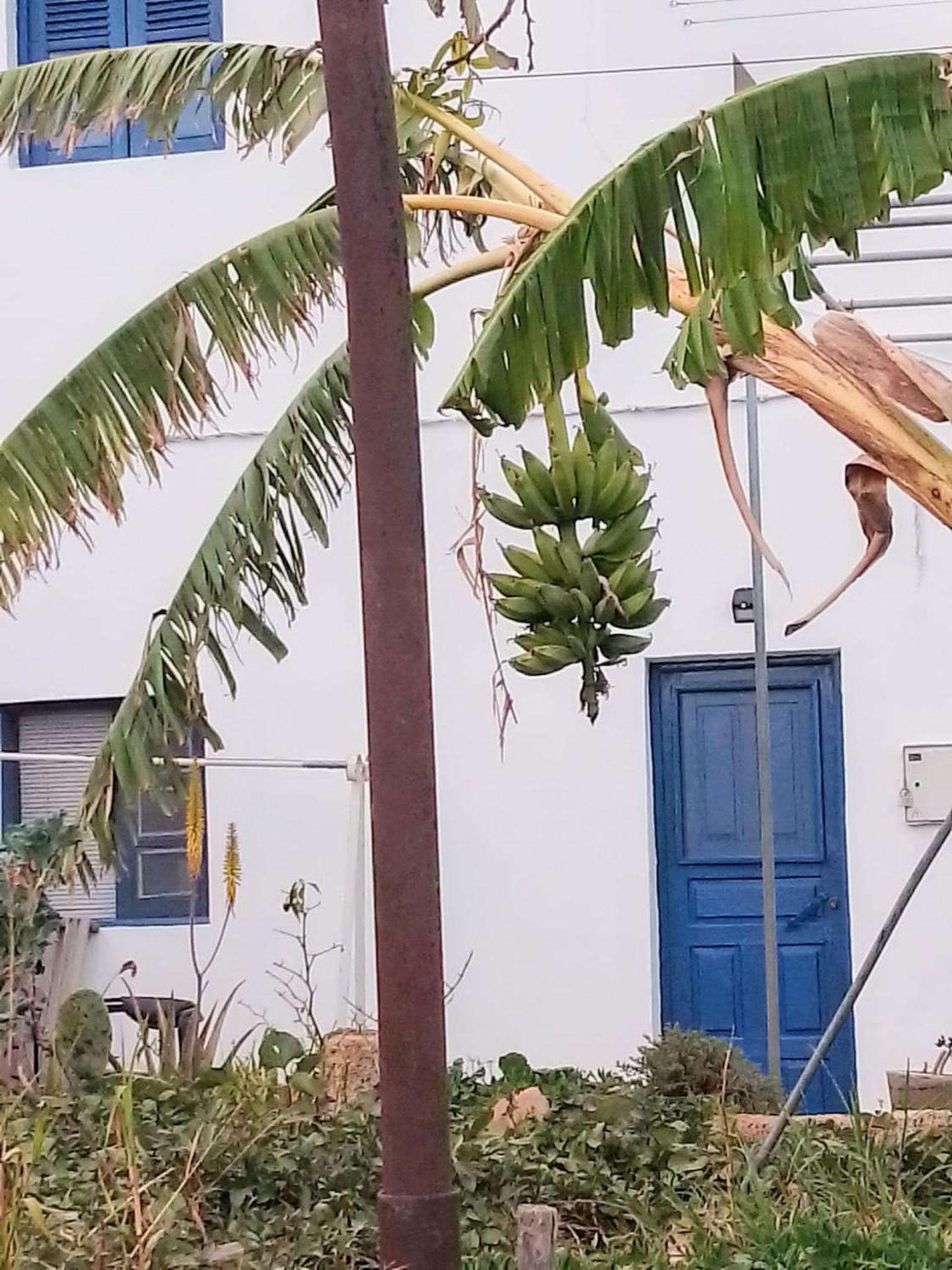 Casa Rural Mary 圣米格尔德阿沃纳 外观 照片